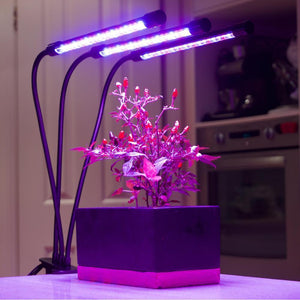 Think Beyond White LED Grow Lights [Kelvin and Color Temperature]