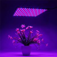 1500W LED Growth Lamp For Plants Led Grow Light Full Spectrum Phyto Lamp Fitolampy Indoor Herbs Light For Greenhouse Led Grow